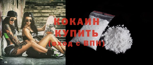 индика Белокуриха