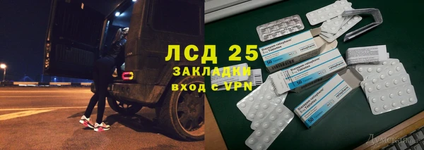индика Белокуриха