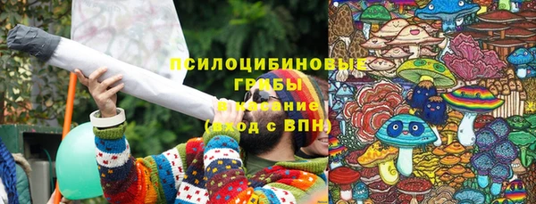 индика Белокуриха