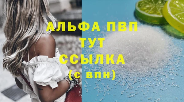 индика Белокуриха