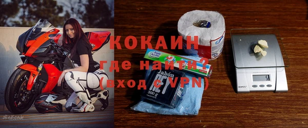 индика Белокуриха