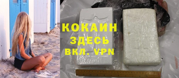 индика Белокуриха
