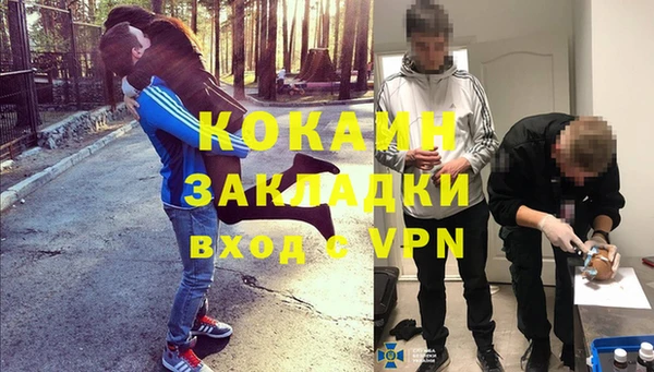индика Белокуриха