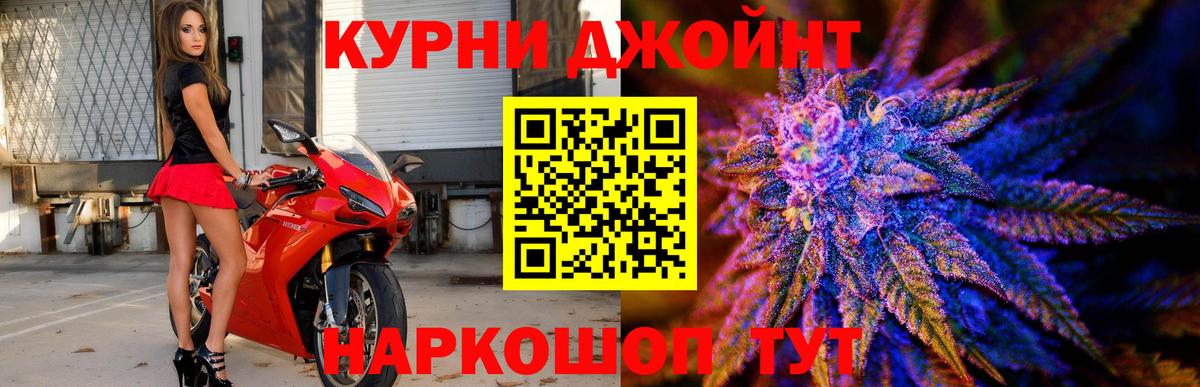 Бошки марихуана планчик  Вход с VPN  МАРИХУАНА тримм  Дагестанские Огни 
